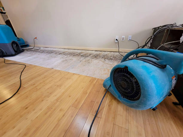 Professional Water Damage Repair technician working in West Nottingham, NH